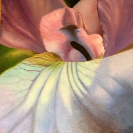 50 x 40 cm, Öl auf Leinwand